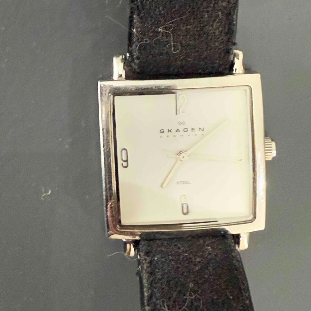 Skagen Watch